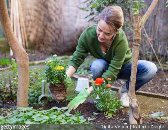 Garden thérapie : les bienfaits du jardinage sur votre santé